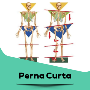perna-curta